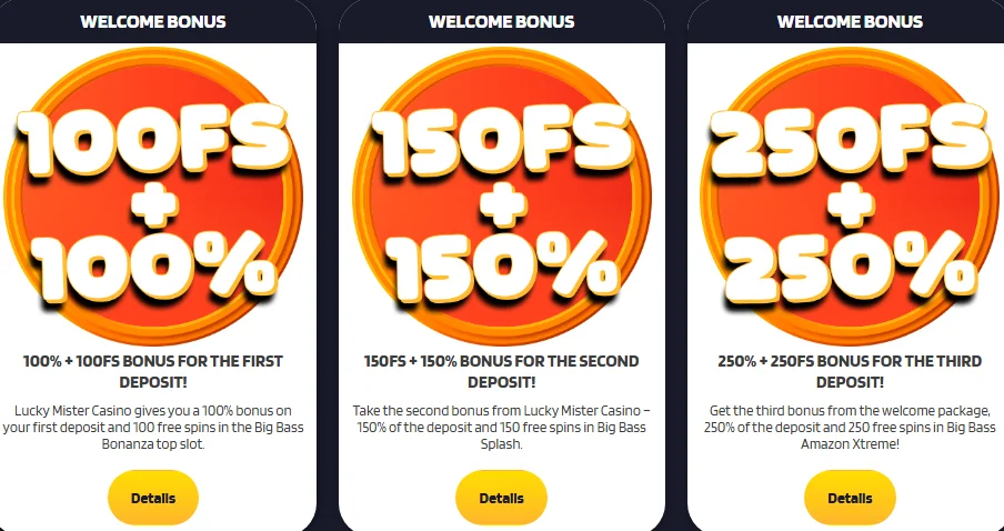 Lucky Mister bonuses